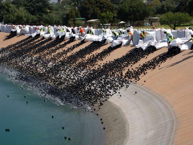 RevContent Ad Example 55071 - Here's Why A Las Vegas Lake Is Covered In 96 Million Floating Black Balls