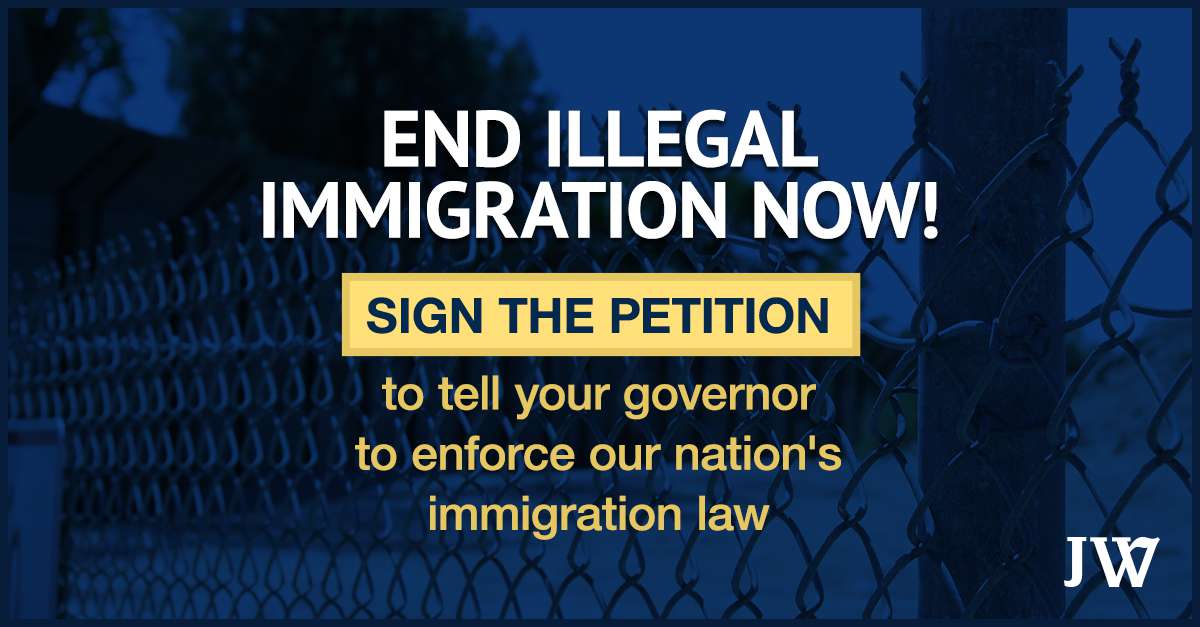 Google Ad Exchange Ad Example 43095 - End Illegal Immigration