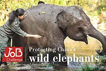 Outbrain Ad Example 58012 - Planning A Future For China's Elephants