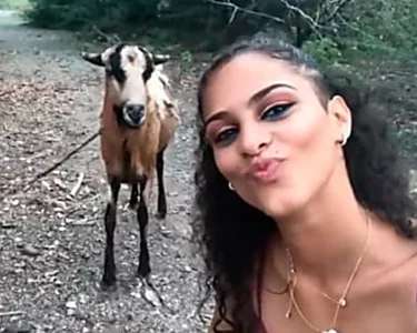 Outbrain Ad Example 56683 - Una Joven Intenta Hacerse Un Selfie Con Una Cabra.. ¡Y Su Reacción No Tiene Precio!