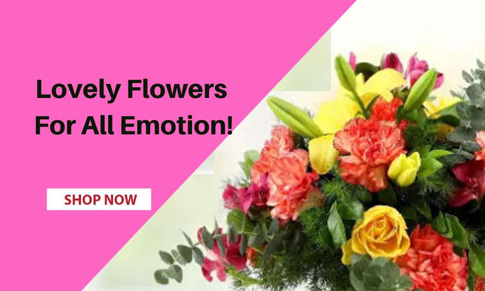 Taboola Ad Example 33711 - Flower Delivery Dubai | Online Florist UAE | 1 Hour Delivery - Ferns N Petals