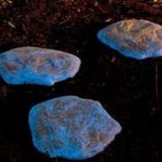 Zergnet Ad Example 53802 - How To Make Your Own Glow In The Dark Stepping Stones