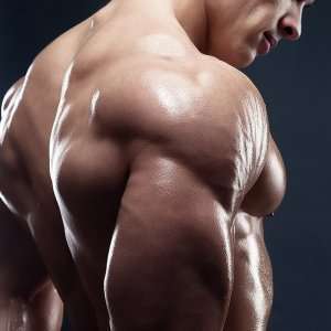 Zergnet Ad Example 65430 - How To Burn Fat Without Losing MuscleMuscleandfitness.com
